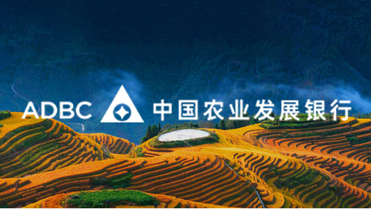 La Banque de Développement Agricole de Chine est la plus grande banque de politique agricole au monde, la seule de ce type au niveau national, directement placée sous l'autorité du Conseil des Affaires d'État. Sa mission principale consiste à mobiliser des fonds sur la base du crédit souverain afin de soutenir le développement de l'agriculture, des zones rurales et des agriculteurs (« san nong »). Elle œuvre pleinement pour : la sécurité alimentaire nationale, la consolidation et l'extension des résultats de la lutte contre la pauvreté en lien avec la revitalisation rurale, la modernisation agricole, le développement des infrastructures agricoles et rurales, le développement régional coordonné et la construction d'une civilisation écologique. La banque compte plus de 2 000 structures aux niveaux national, provincial, municipal et de district, près de 50 000 employés, et un réseau couvrant l'ensemble du territoire. Elle joue un rôle central dans le système financier rural.